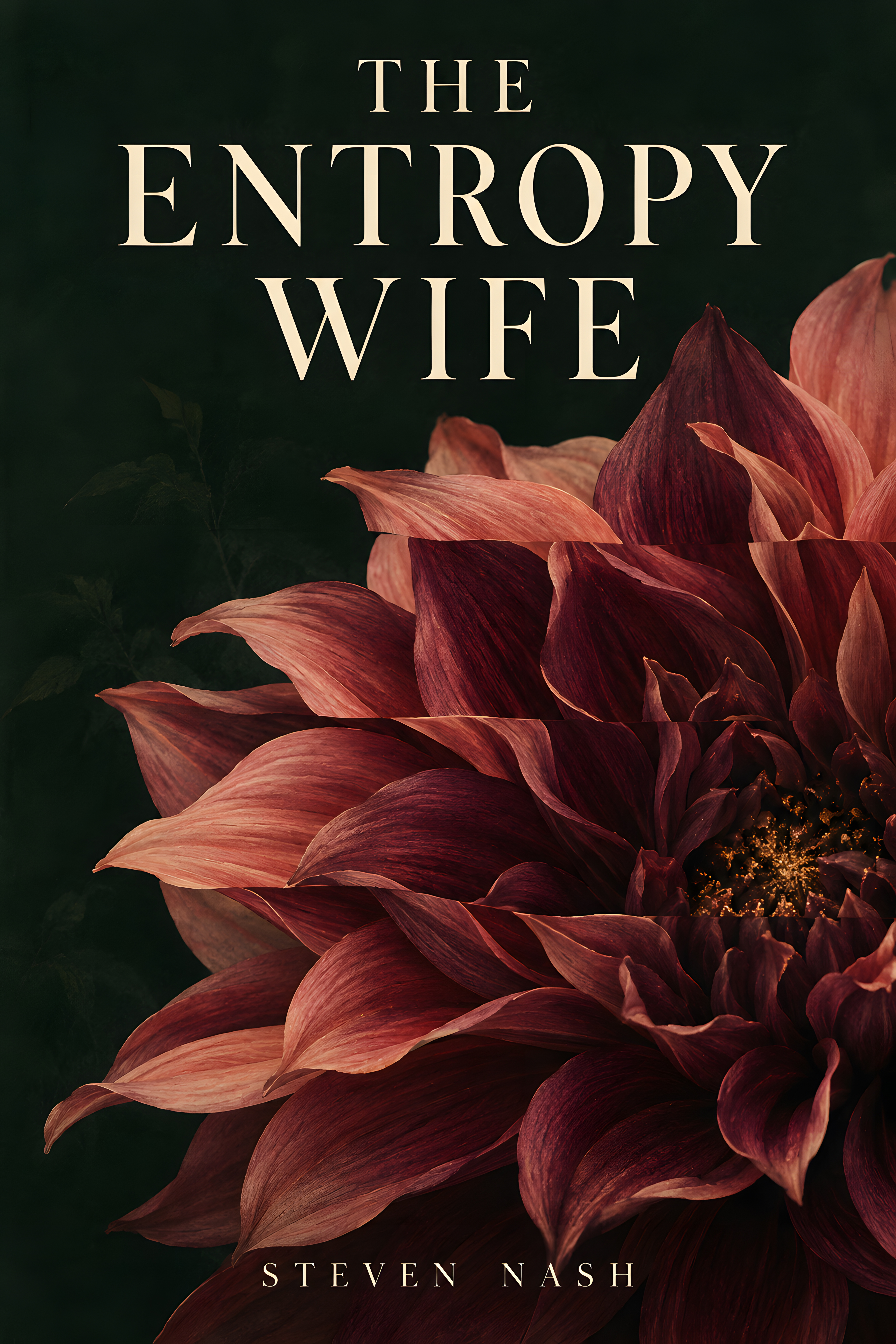 Cover of The Entropy Wife by Steven Nash